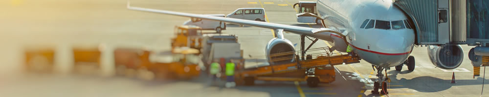 ACL Airshop Animals and Horses Air Transport Services