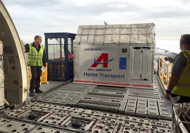 Horse and Animal Air Transport Containers and Services