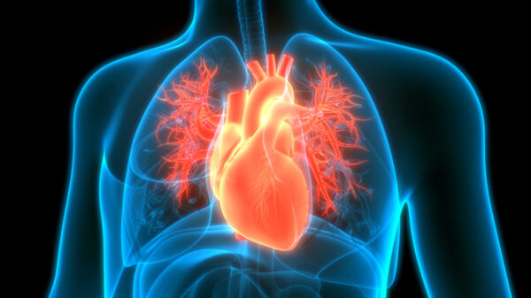 Image of heart and circulatory system